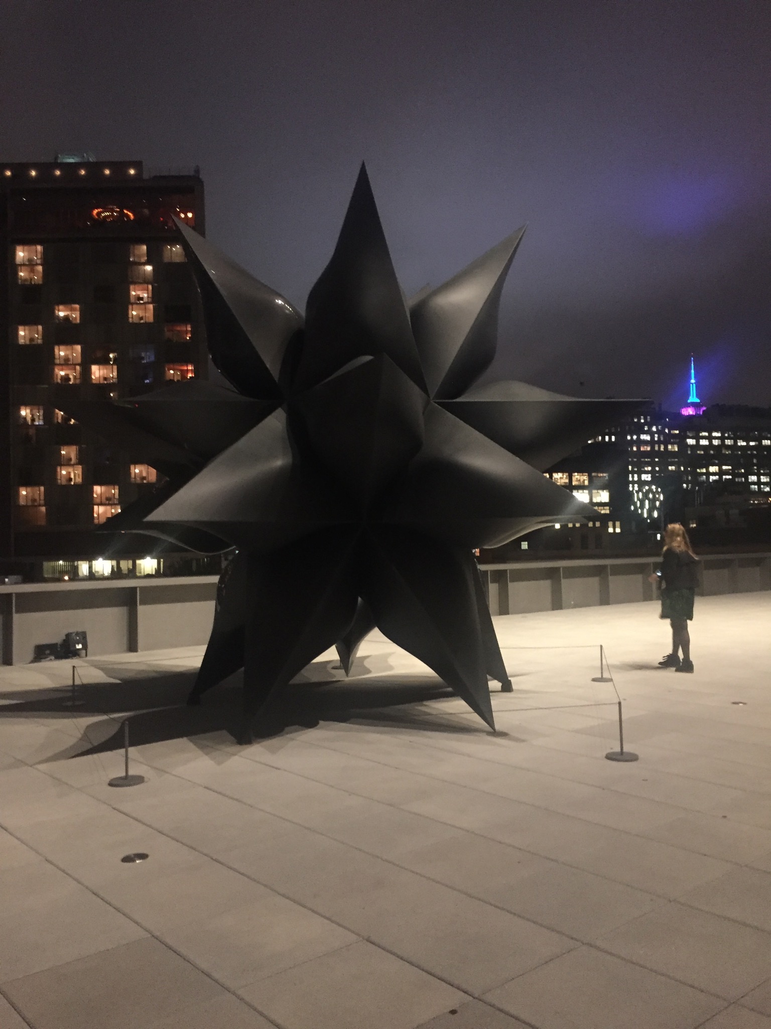 Black Star, Frank Stella on a Spring Evening. Manhattan skyline in the background. 