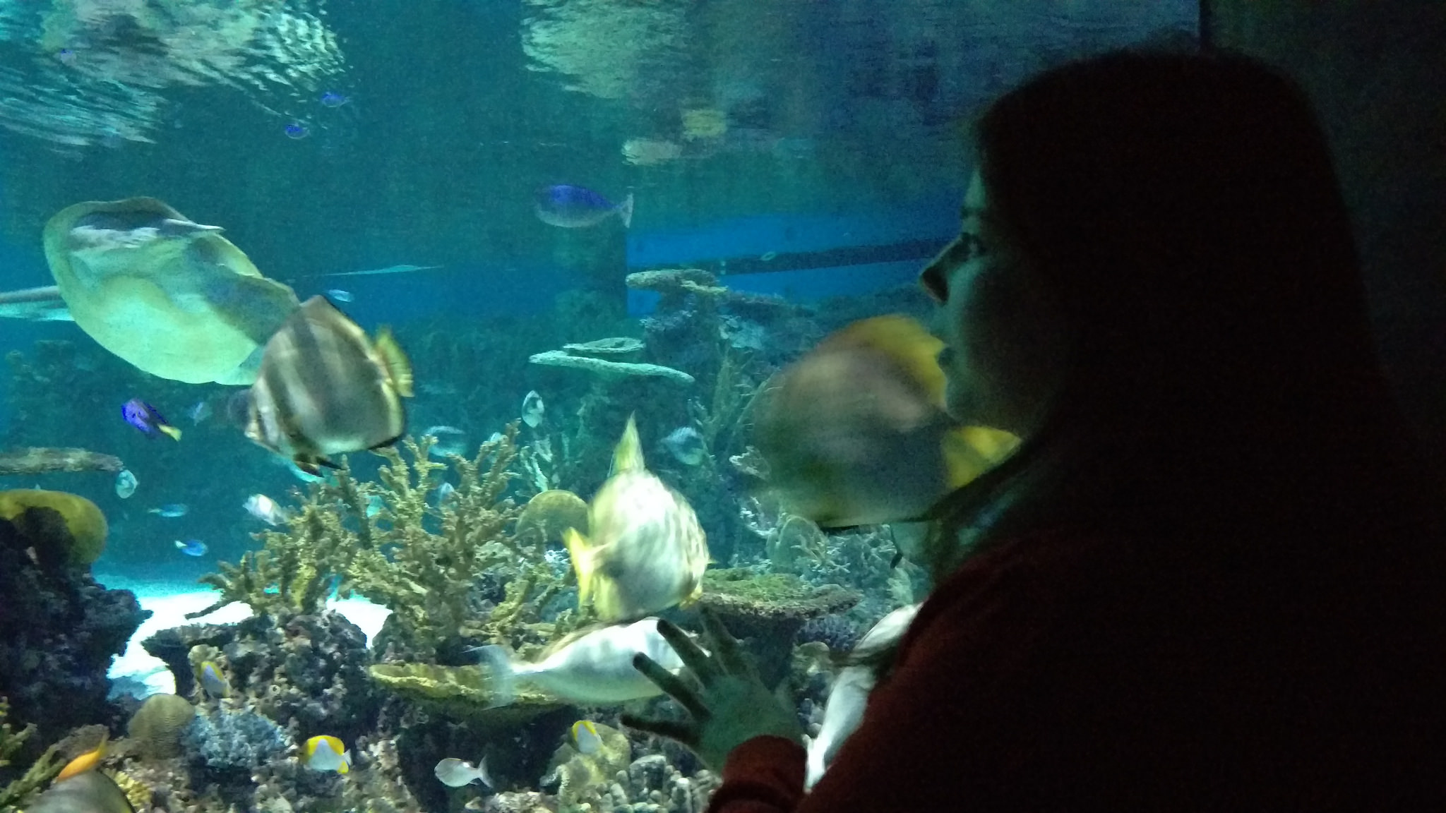 The National Aquarium in Baltimore!