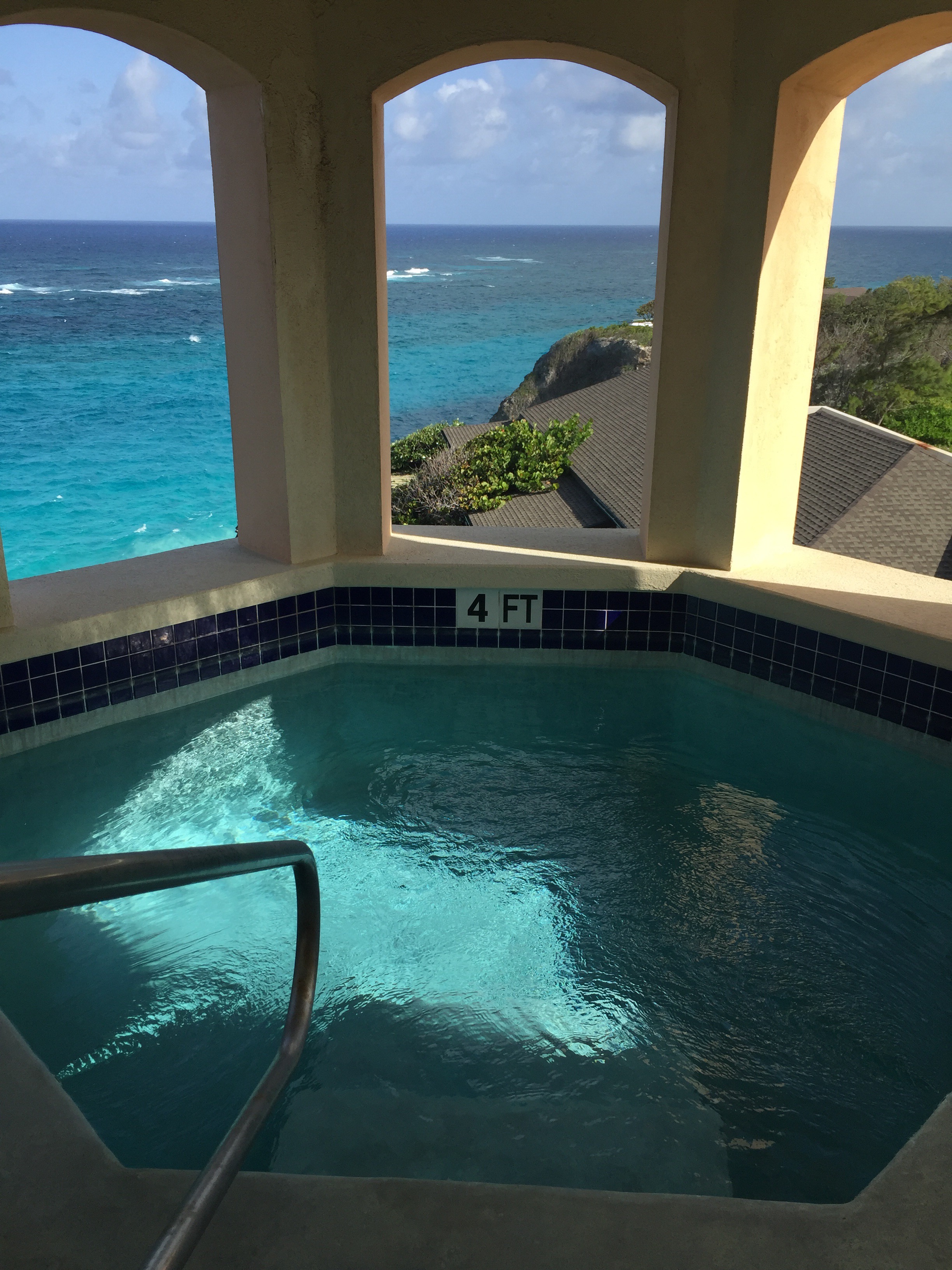 Plunge Pool View