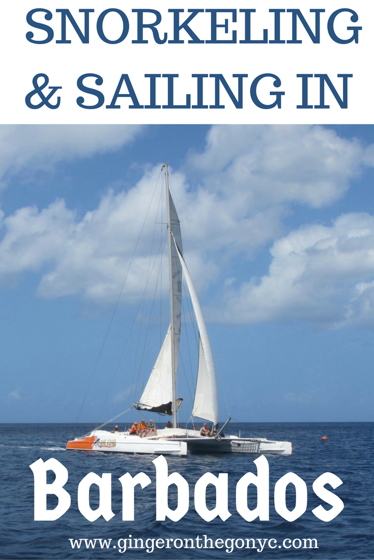 sailing-snorkeling-in-3