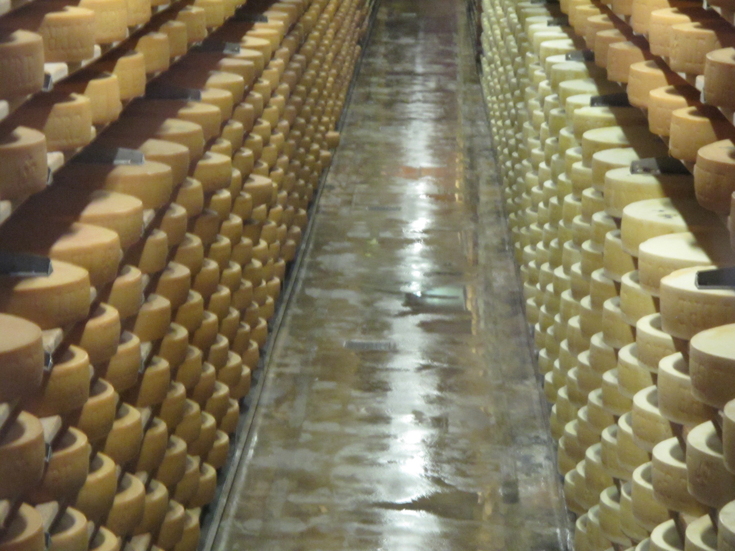 gruyere-cheese-storage-switzerland