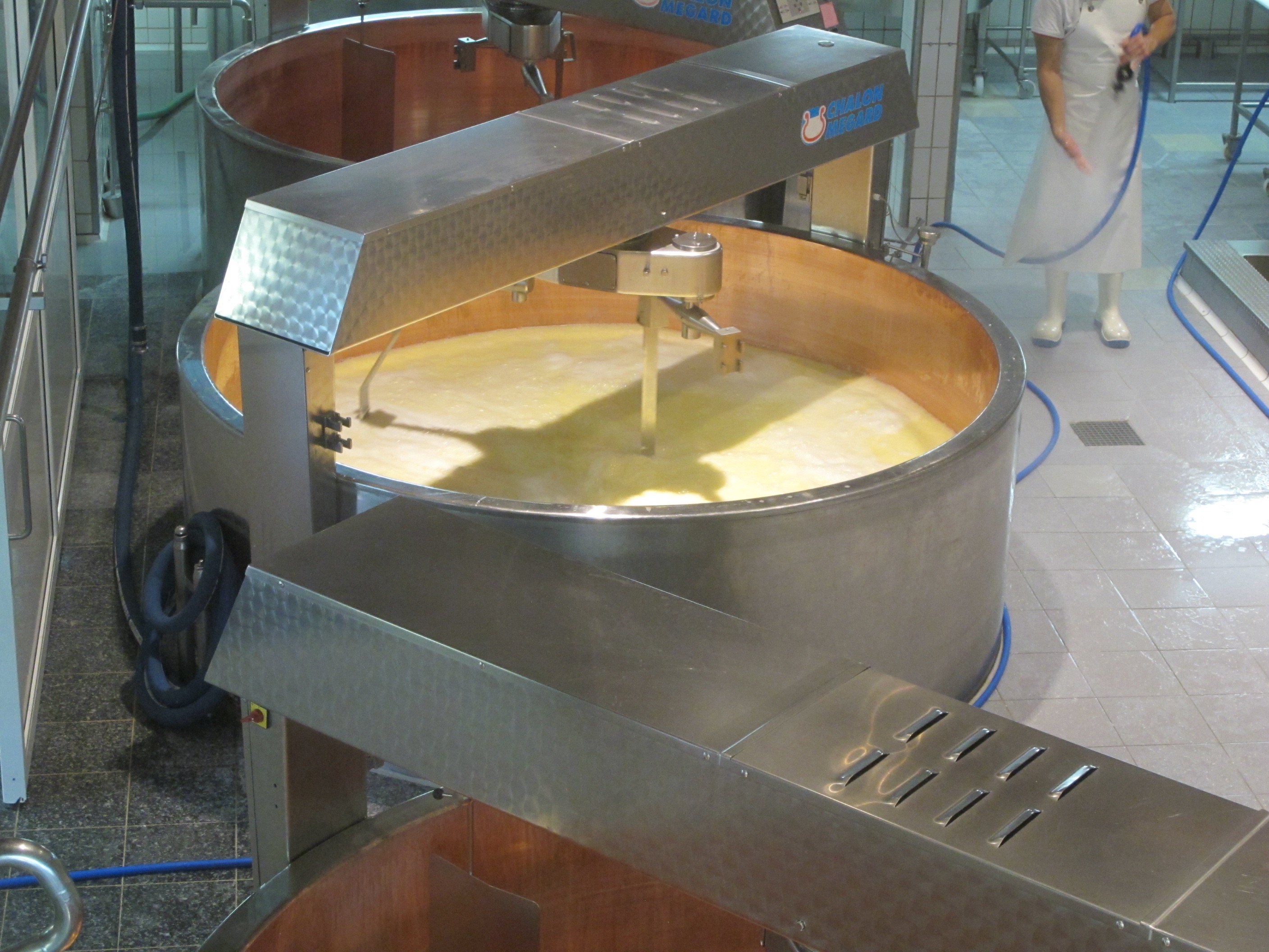 gruyere-cheese-switzerland-process
