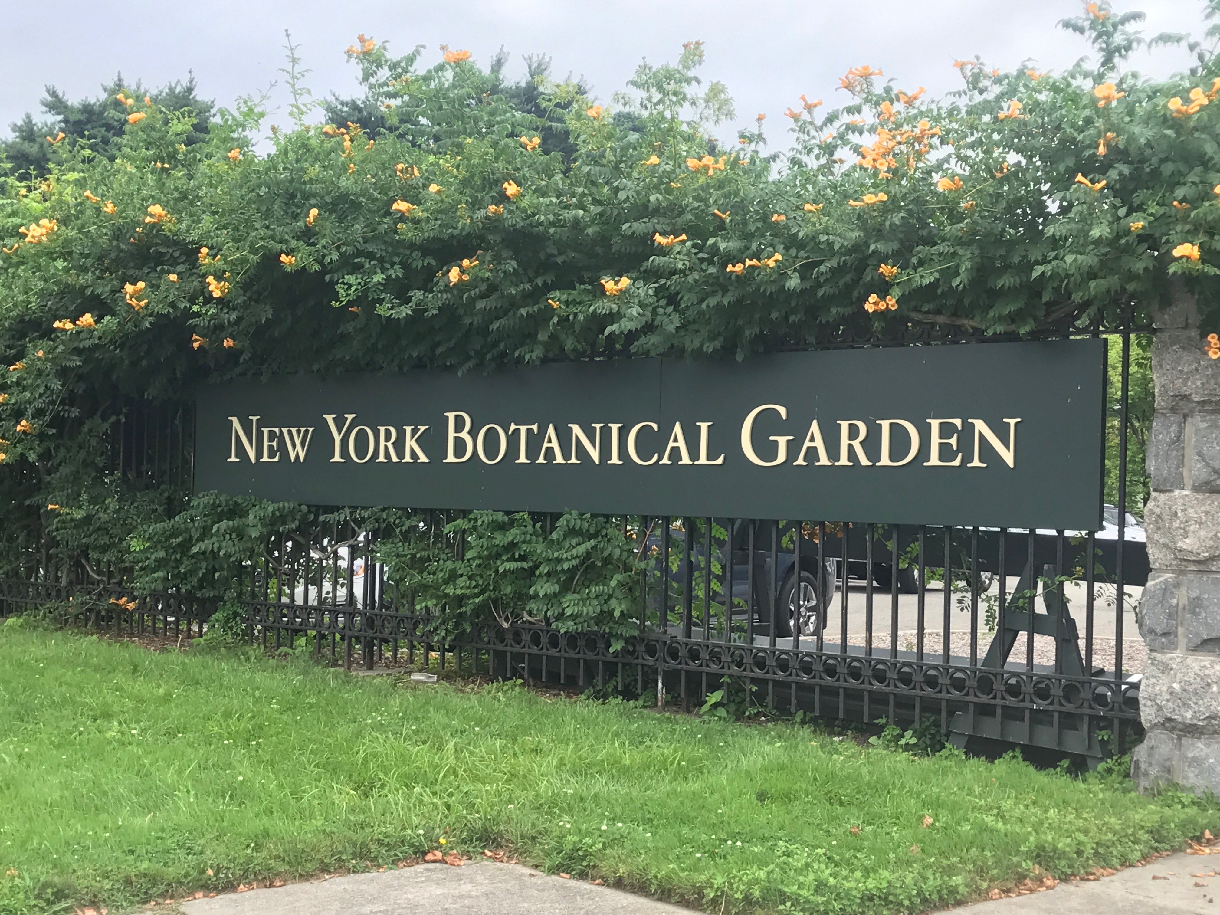 Chihuly Exhibit New York Botanical Gardens