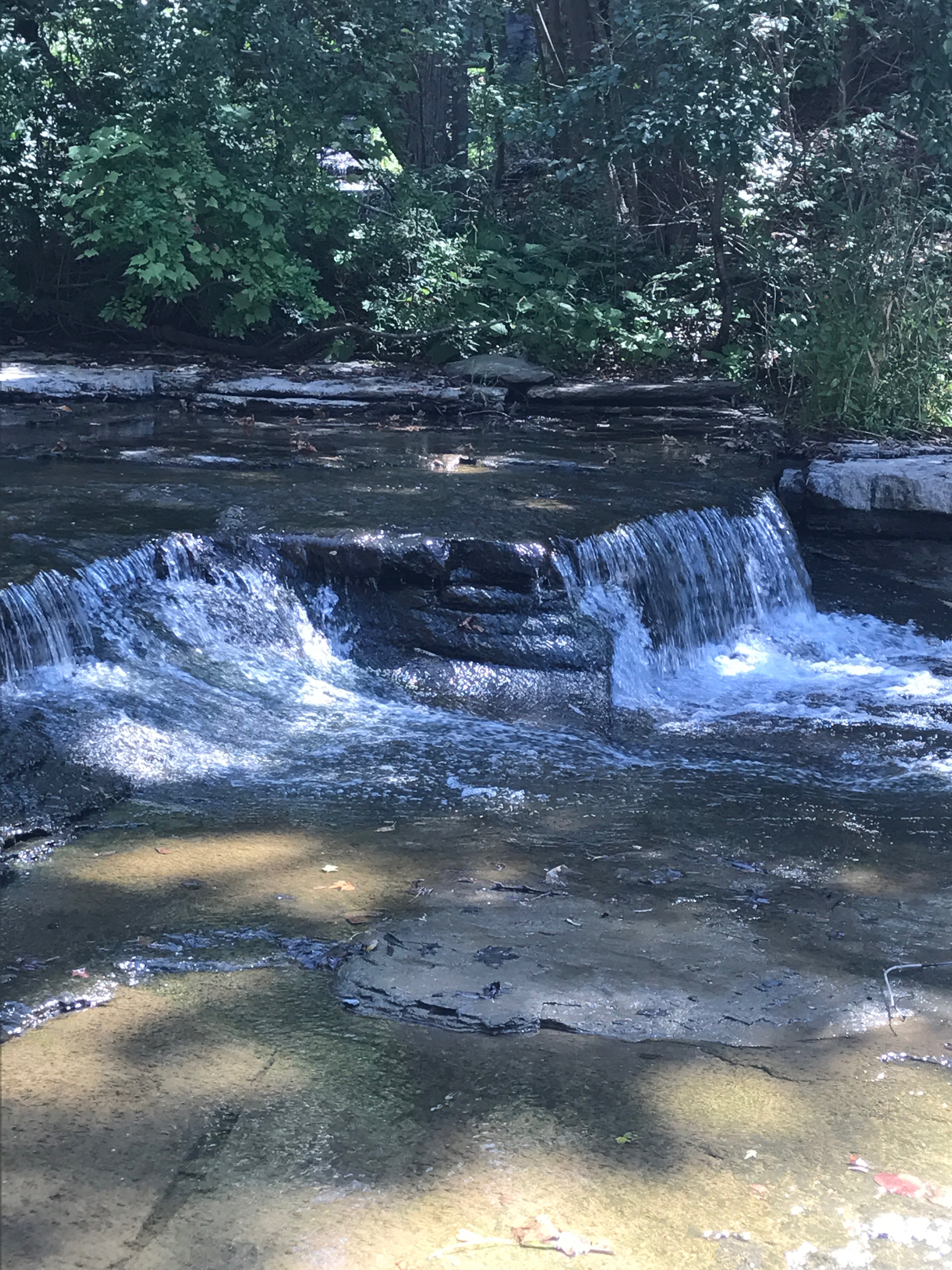 Finger Lakes Waterfalls 